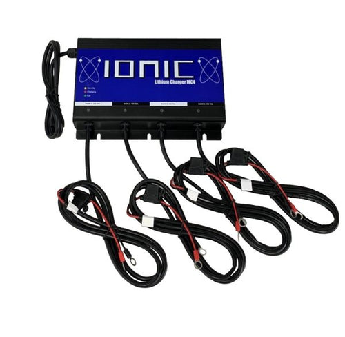 Ionic 4 Bank Onboard Charger