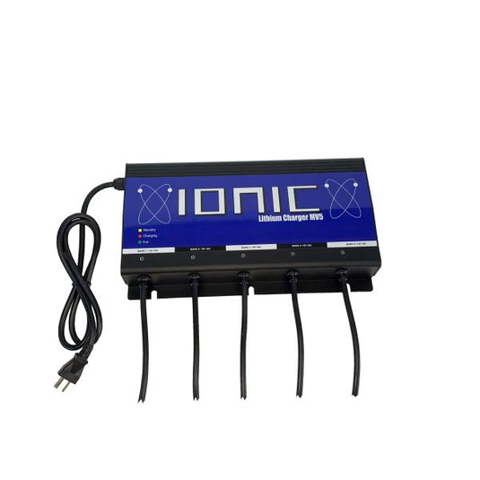 Ionic 5 Bank Onboard Charger